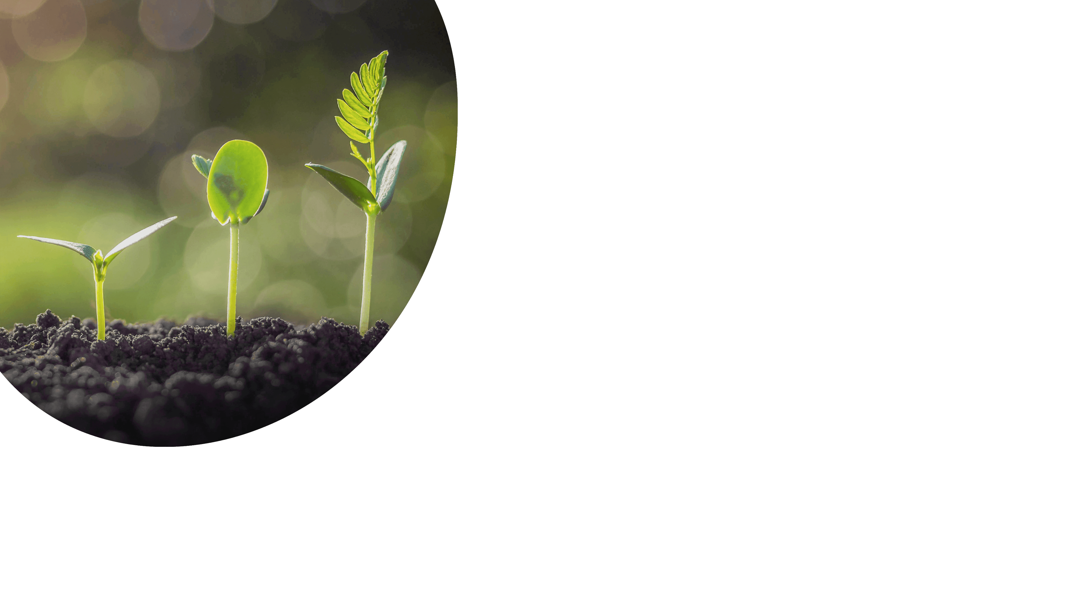 Für Unternehmen, die nachhaltig wirtschaften - Labora Holding